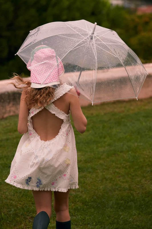 Andrea Embroidered Mini Dress