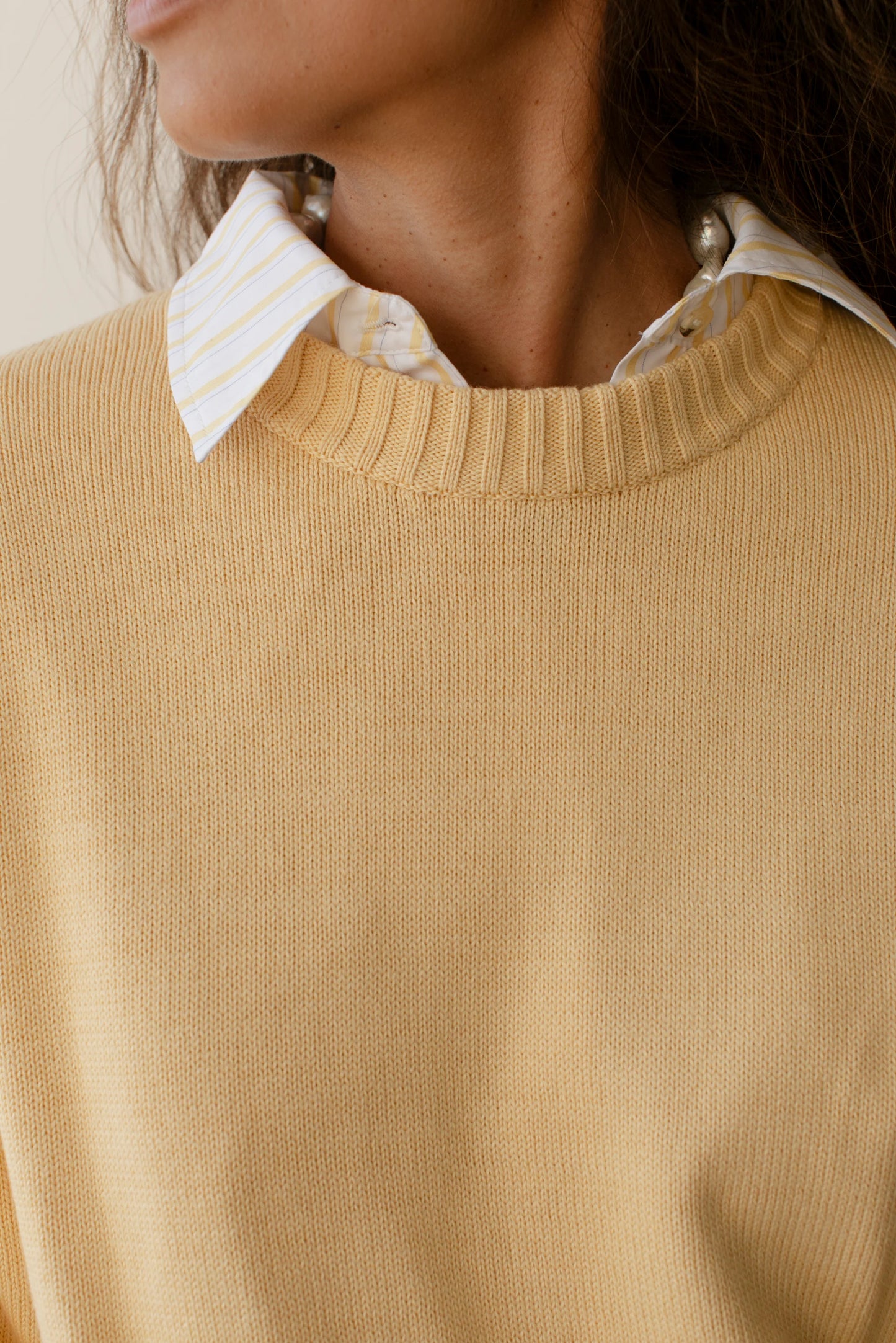 The Cotton Knit Crew Sweater