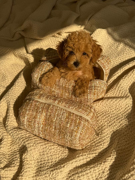 Tweed Pouch